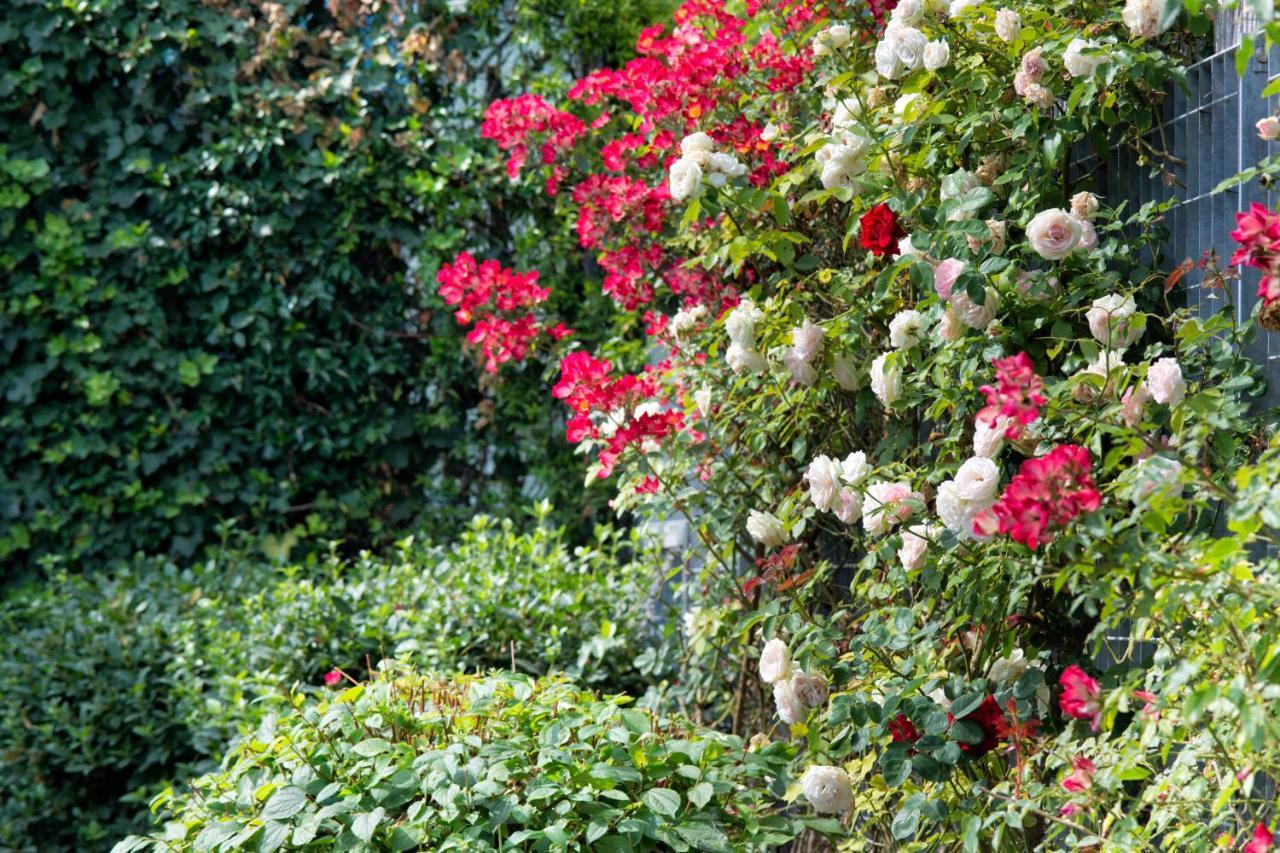 Maison Di Fiore B&B Ercolano Buitenkant foto